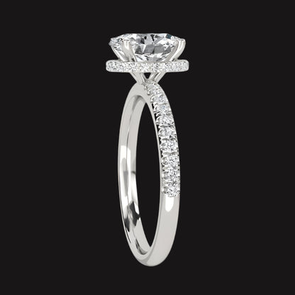 Halo - Oval